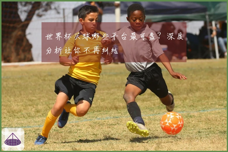 世界杯买球哪些平台最可靠?深度分析让你不再纠结
