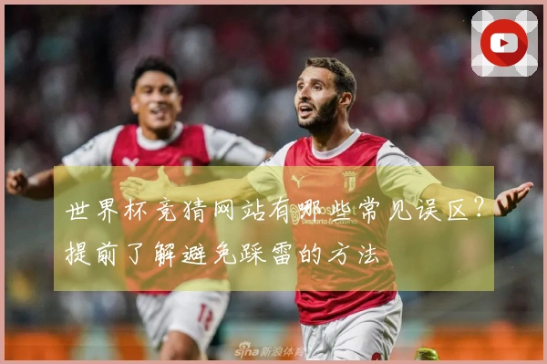 世界杯竞猜网站有哪些常见误区？提前了解避免踩雷的方法