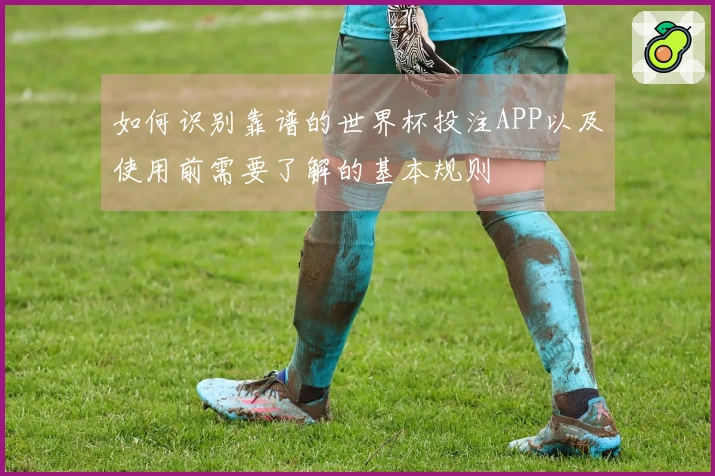 如何识别靠谱的世界杯投注APP以及使用前需要了解的基本规则