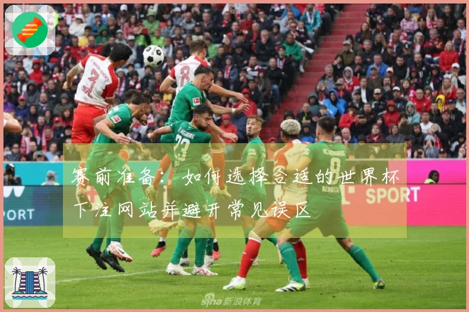 赛前准备：如何选择合适的世界杯下注网站并避开常见误区
