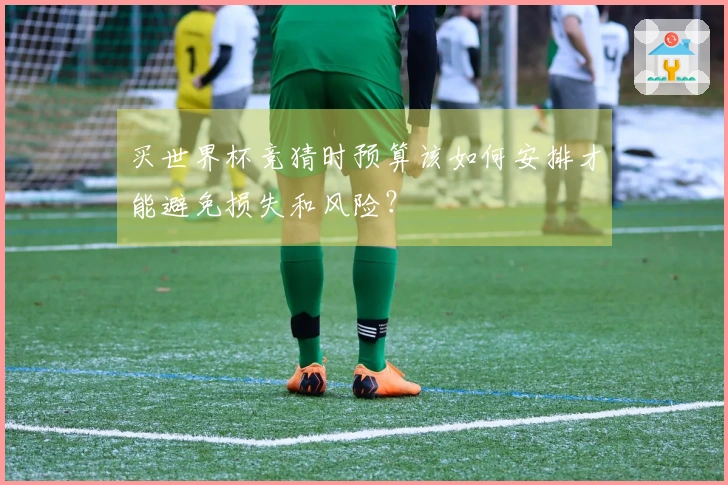 买世界杯竞猜时预算该如何安排才能避免损失和风险？