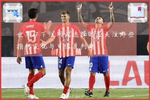 世界杯下注网站选择时应关注哪些指标变化与可信度判断