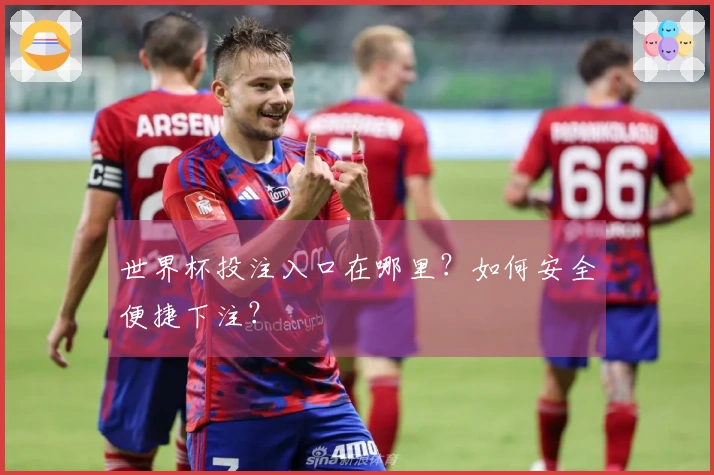 世界杯投注入口在哪里?如何安全便捷下注?